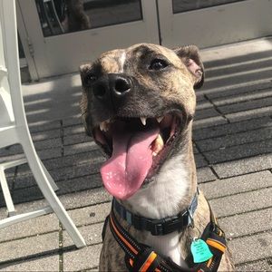 Meet your Posher, Elle